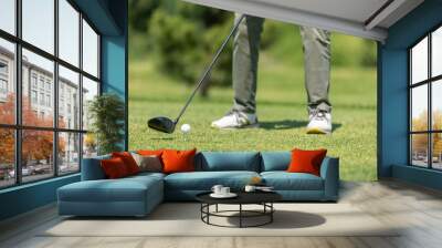 Golf course green. Golfer hits the ball with a club Wall mural