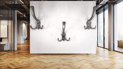 Iron hooks for clothes on the wall Wall mural