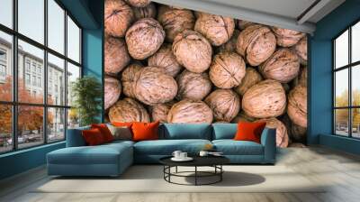 ripe and dried walnut texture Wall mural