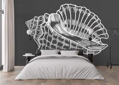 engraving illustration of spiral seashell Wall mural