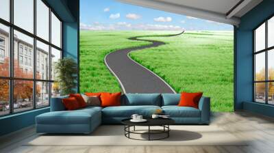 Road and green field. Wall mural