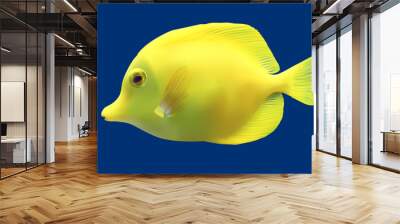 Yellow tropical fish. Vector illustration Wall mural