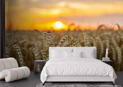 Wheat field. Ears of golden wheat close up. Rich harvest concept. Wall mural