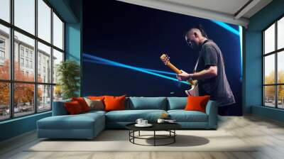 Guitarist performing on stage. Concert. Wall mural