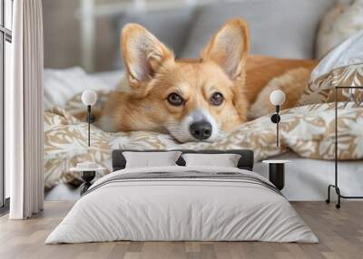 Adorable Corgi mix with fawn coloring on bed Wall mural