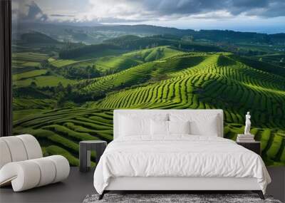 Bird s eye view of Cha Gorreana tea plantation in Sao Miguel Azores Portugal Wall mural