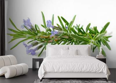 Blooming rosemary sprig on white background Wall mural