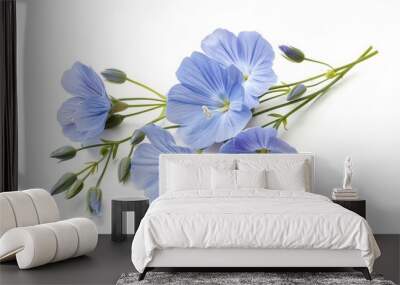 Flax flowers isolated on white background Wall mural