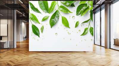 Fresh green tea leaves with water droplets on white background Wall mural