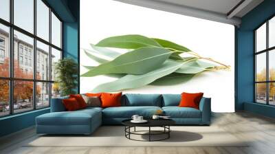 Isolated eucalyptus leaves on white Wall mural