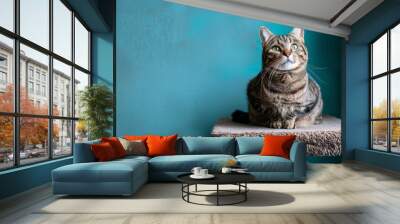 Tabby cat sits on blue tower Wall mural