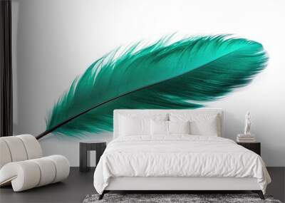 Turquoise and emerald green feather isolated on white Wall mural