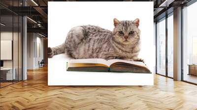 Cat and book. Wall mural