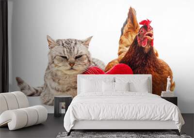 Cat and chicken. Wall mural