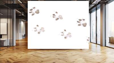 Dog footprints on a white background. Wall mural