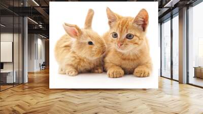 Red cat and rabbit. Wall mural