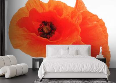 Red poppies. Wall mural