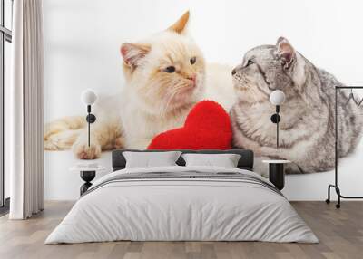 Two cats and red heart. Wall mural