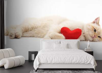 White cat and red heart. Wall mural