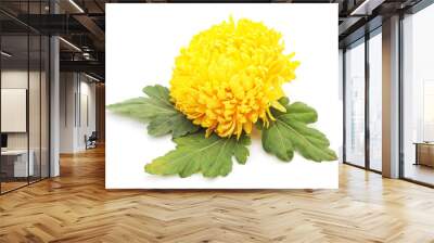 Yellow chrysanthemum. Wall mural