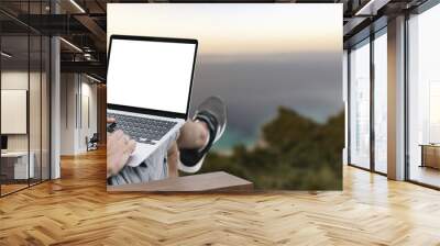 a man works in nature, sitting in a chair with a laptop Wall mural