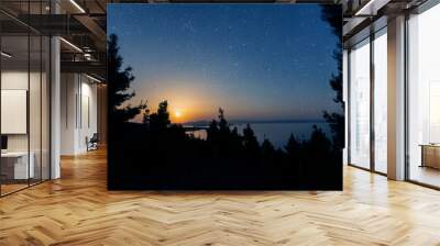 a night sea with a view of mountains and starry sky Wall mural