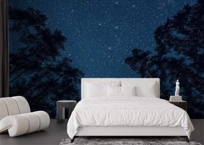 a Night sky in a pine forest at Christmas day Wall mural