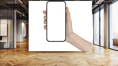 a phone  in a hand on a transparent background in PNG format Wall mural