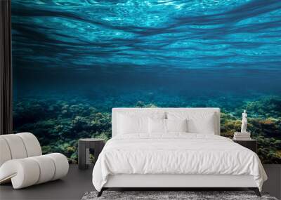 a Underwater coral reef on the red sea Wall mural