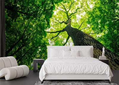 forest Wall mural