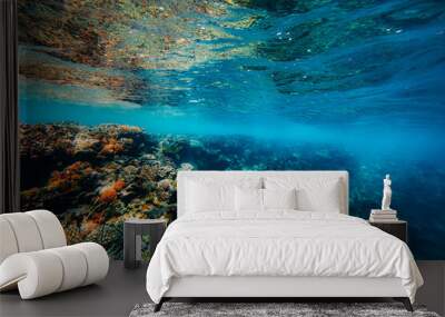 Panorama Underwater coral reef on the red sea Wall mural