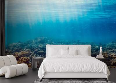 Underwater coral reef on the red sea Wall mural