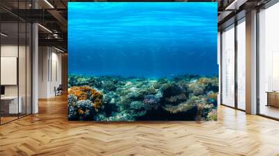 Underwater coral reef on the red sea Wall mural