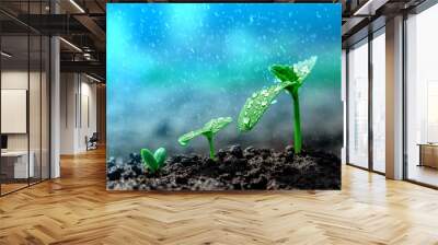 Vintage seedling growing on the ground in the rain. Wall mural