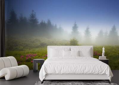 Beautiful landscape in the spring mountains. View of  smoky hills, covered with fresh blossom rododendrons.   Wall mural