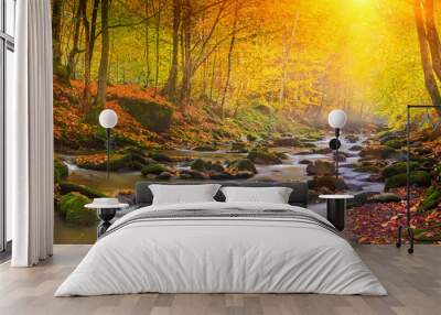 Landscape magic river in autumn forest at sunlight. Wall mural