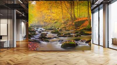 Landscape magic river in autumn forest at sunlight. Wall mural