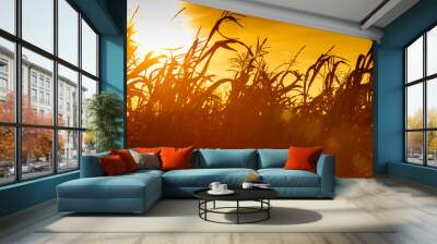 Corn field at the yellow sunset Wall mural