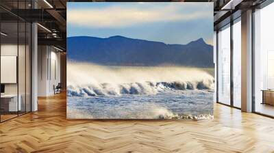 Sea waves forming white foam on sunny day. Wall mural