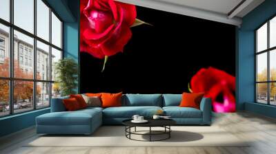 top and close up view of 2 red rose on pink Wall mural