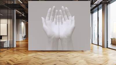 Open palms health care hands gesture, 3d rendering white painted supporting hands, female help giving arms. Wall mural