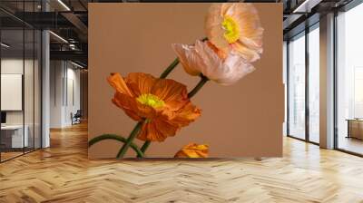 Stylish composition of beautiful poppies flowers. springtime botanical concept Wall mural