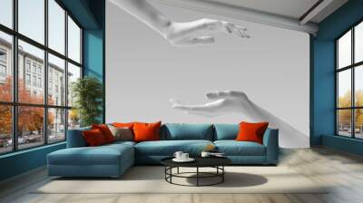 Two female hand sculptures giving, showing some product, isolated on white. Mannequin hands presenting gesture 3d illustration. Wall mural