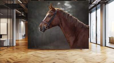 portrait of young red trakehner mare horse in brown bridle on forest background Wall mural