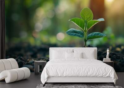 The image shows a small green plant growing out of the soil towards the sunlight. Wall mural