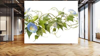 Painting of wild morning glory leaves entwined on a twisted jungle vine set against a white background with a clipping path included Wall mural