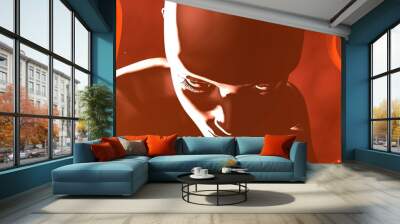 Human woman , genetically engineered clone suspended in life support chamber  pod . Human cloning . 3d rendering Wall mural