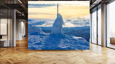 winter wonderland with snowy fir trees in the mountains Wall mural