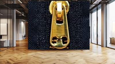 Gold zipper on black fabric Wall mural