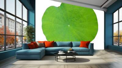 Lotus leaf Wall mural